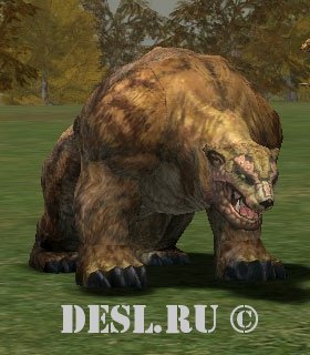   (Plain Grizzly) Lvl. 24, ID. 21098