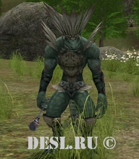    (Langk Lizardman Shaman) Lvl. 24, ID. 21101