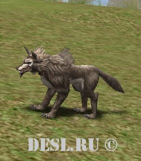    (Kasha Dire Wolf) Lvl. 23, ID. 21121