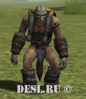   (Northern Goblin) Lvl. 21, ID. 21127