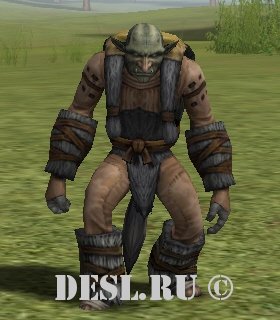   (Northern Goblin Leader) Lvl. 24, ID. 21130