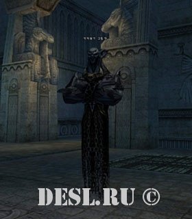   (Catacomb Shadow) Lvl. 34, ID. 21144