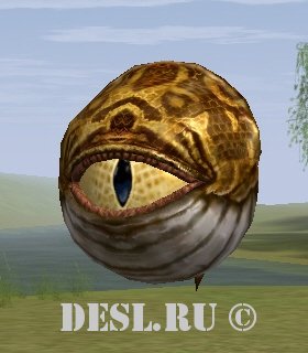    (Evil Eye Seer) Lvl. 18, ID. 21257