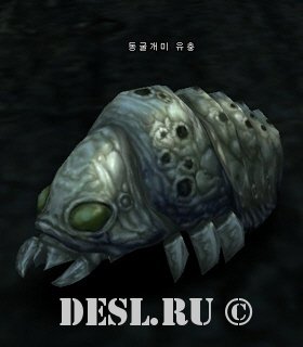    (Cave Ant Larva) Lvl. 36, ID. 21265
