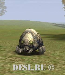    (Cave Ant Larva) Lvl. 36, ID. 21268