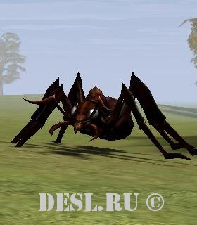   (Cave Ant) Lvl. 37, ID. 21269