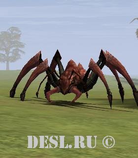    (Cave Ant Soldier) Lvl. 38, ID. 21270