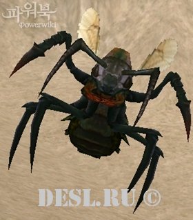    (Cave Noble Ant) Lvl. 39, ID. 21273