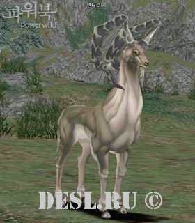  (Antelope) Lvl. 68, ID. 21280