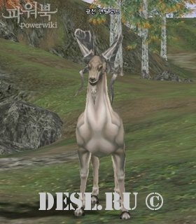    (Hot Springs Antelope) Lvl. 74, ID. 21318