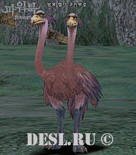    (Grazing Elder Kookaburra) Lvl. 78, ID. 21341