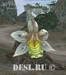   (Grazing Nepenthes) Lvl. 78, ID. 21356