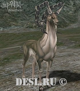    (Grazing Elder Antelope) Lvl. 78, ID. 21367