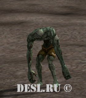   (Assassin Beetle) Lvl. 78, ID. 21381