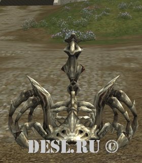  (Katraxis) Lvl. 78, ID. 21402