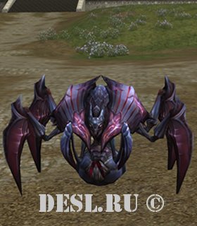   (Tera Beetle) Lvl. 78, ID. 21404