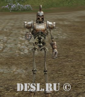    (Royal Guard of Empire) Lvl. 78, ID. 21409