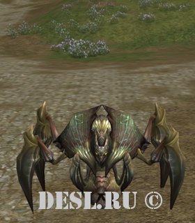   (Chakram Beetle) Lvl. 78, ID. 21432
