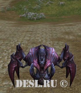   (Jamadar Beetle) Lvl. 78, ID. 21433
