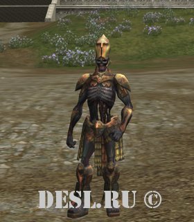 Проводник Жертвы (Guide of Offering) Lvl. 78, ID. 21435