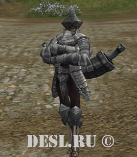   (Heathen Warrior) Lvl. 65, ID. 21438