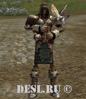   (Heathen Knight) Lvl. 69, ID. 21442