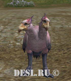   (Alpine Kookaburra) Lvl. 65, ID. 21458