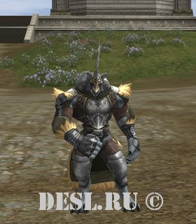   (Wisdom of Splendor) Lvl. 62, ID. 21526