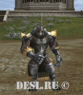   (Disciple of Pilgrim) Lvl. 62, ID. 21542