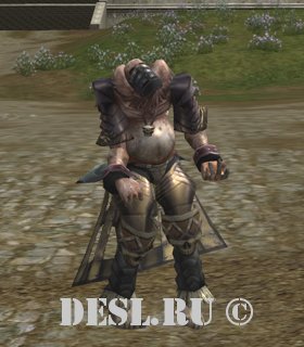   (Skull Collector) Lvl. 67, ID. 21564