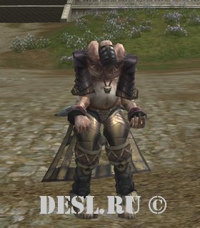   (Bone Animator) Lvl. 68, ID. 21565