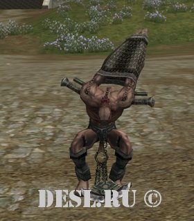   (Ghost of Betrayer) Lvl. 69, ID. 21570