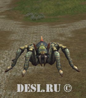  (Atrox) Lvl. 69, ID. 21573