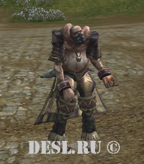 Заклинатель Костей (Bone Caster) Lvl. 71, ID. 21580