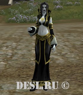   (Vampire Wizard) Lvl. 73, ID. 21588