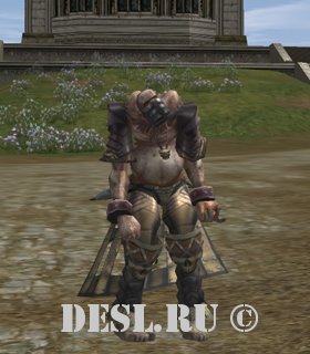   (Requiem Lord) Lvl. 68, ID. 21596