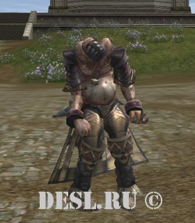   (Requiem Priest) Lvl. 71, ID. 21599