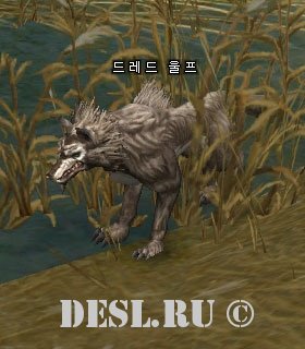   (Dread Wolf) Lvl. 35, ID. 21638
