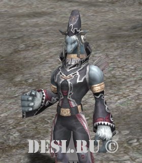   (Dimension Invader Martyrs) Lvl. 40, ID. 21689