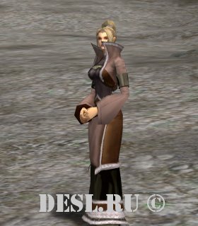    (Purgatory Invader Soldier) Lvl. 50, ID. 21705
