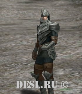     (Purgatory Invader Elite Soldier) Lvl. 55, ID. 21708