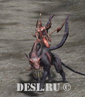    (Purgatory Invader Disciples) Lvl. 53, ID. 21715