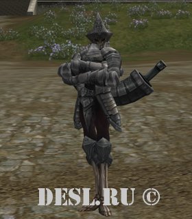     (Forbidden Path Invader Disciple) Lvl. 63, ID. 21738