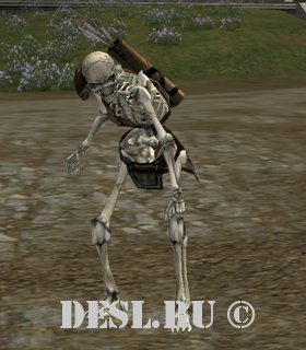     (Dark Omen Invader Archer) Lvl. 73, ID. 21753
