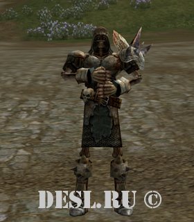    (Ghost of a Gatekeeper) Lvl. 76, ID. 21799