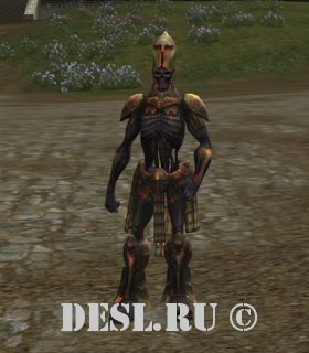   (Executor of Sacrificial Offerings) Lvl. 78, ID. 21823