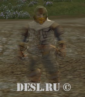    (Grave Robber Guard) Lvl. 29, ID. 22006