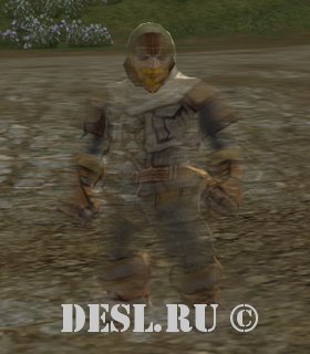    (Grave Robber Fighter) Lvl. 30, ID. 22008