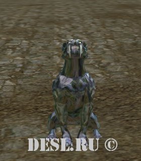   (Snow Lynx) Lvl. 33, ID. 22020