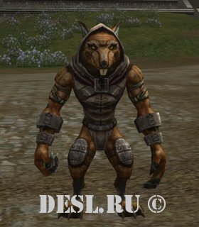   (Bandit Assassin) Lvl. 35, ID. 22022